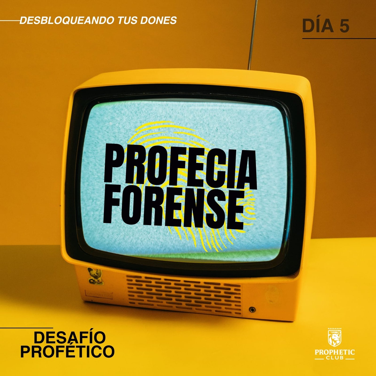 DP_IMG5Dias (4)